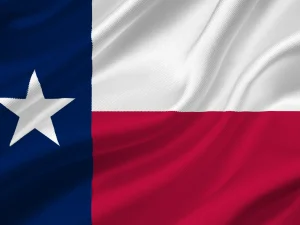 bandiera texas