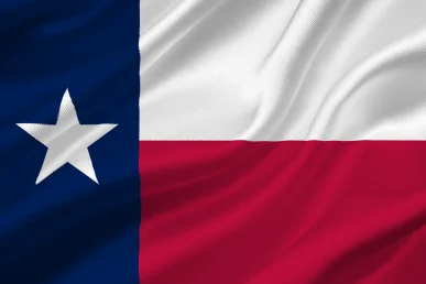 Bandiera Texas