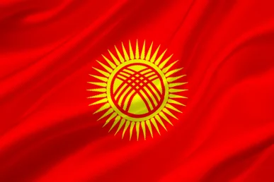 Bandiera Kirghizistan