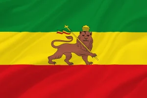 Bandiera leone di giuda