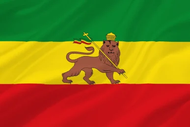 Bandiera leone di Giuda