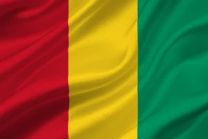 bandiera guinea
