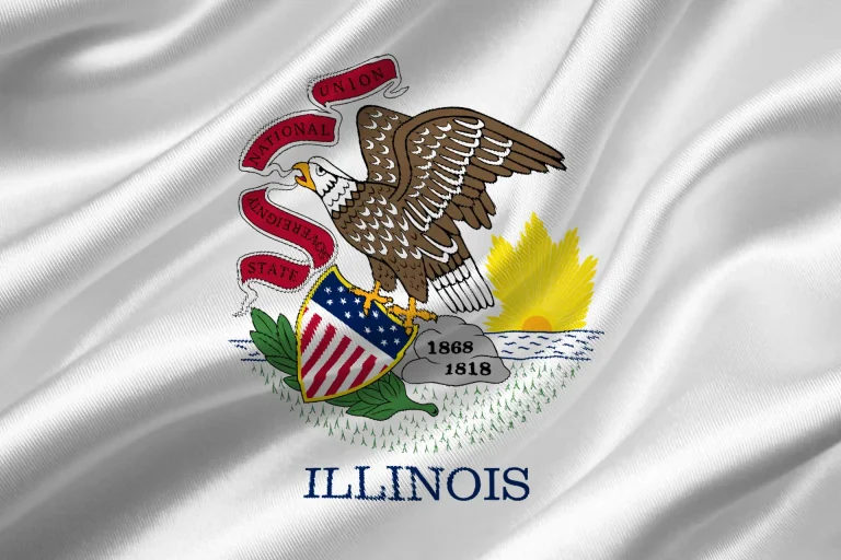 Bandiera Illinois