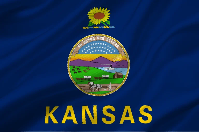 Bandiera Kansas