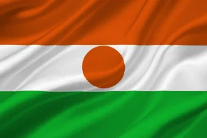 bandiera niger