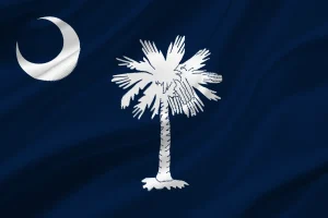 bandiera sud carolina