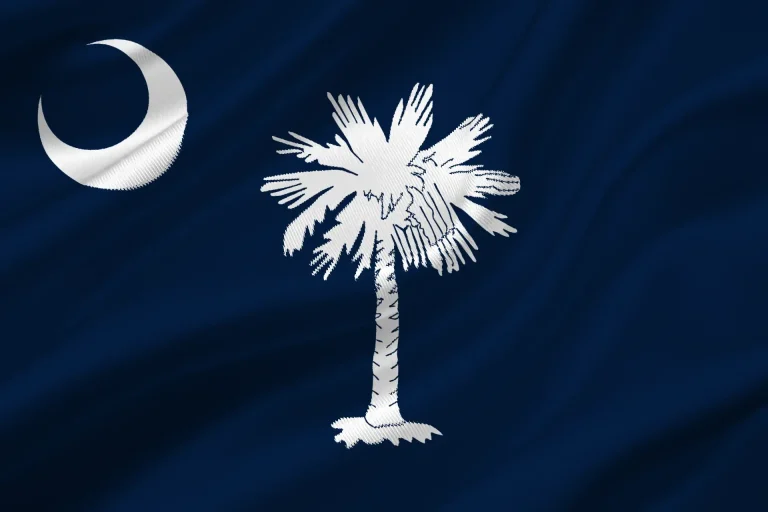 Bandiera Sud Carolina