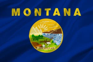bandiera montana