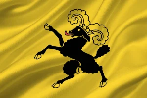 bandiera sciaffusa