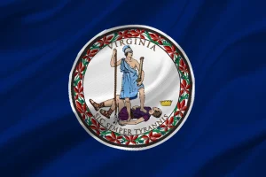 bandiera virginia