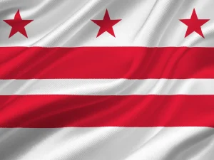 bandiera washington