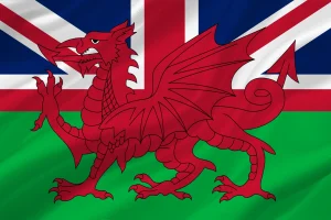 Gran Bretagna Welsh Defence League