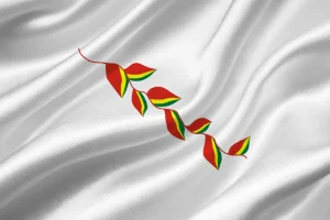 Bandiera Patujú